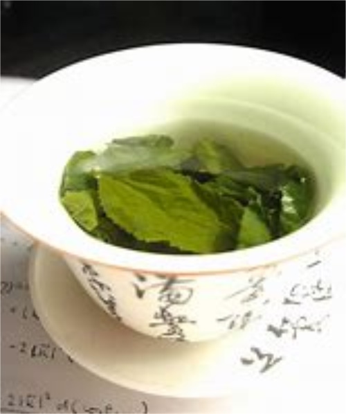绿茶龙井绿茶的功效与作用