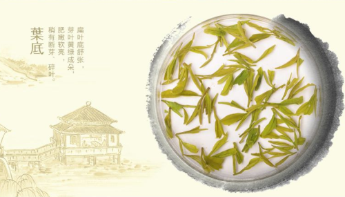 绿茶龙井辉锅的作用