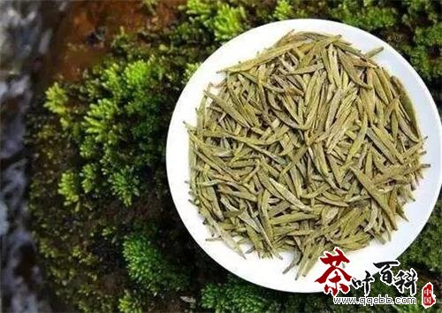 广元黄茶多少钱一斤